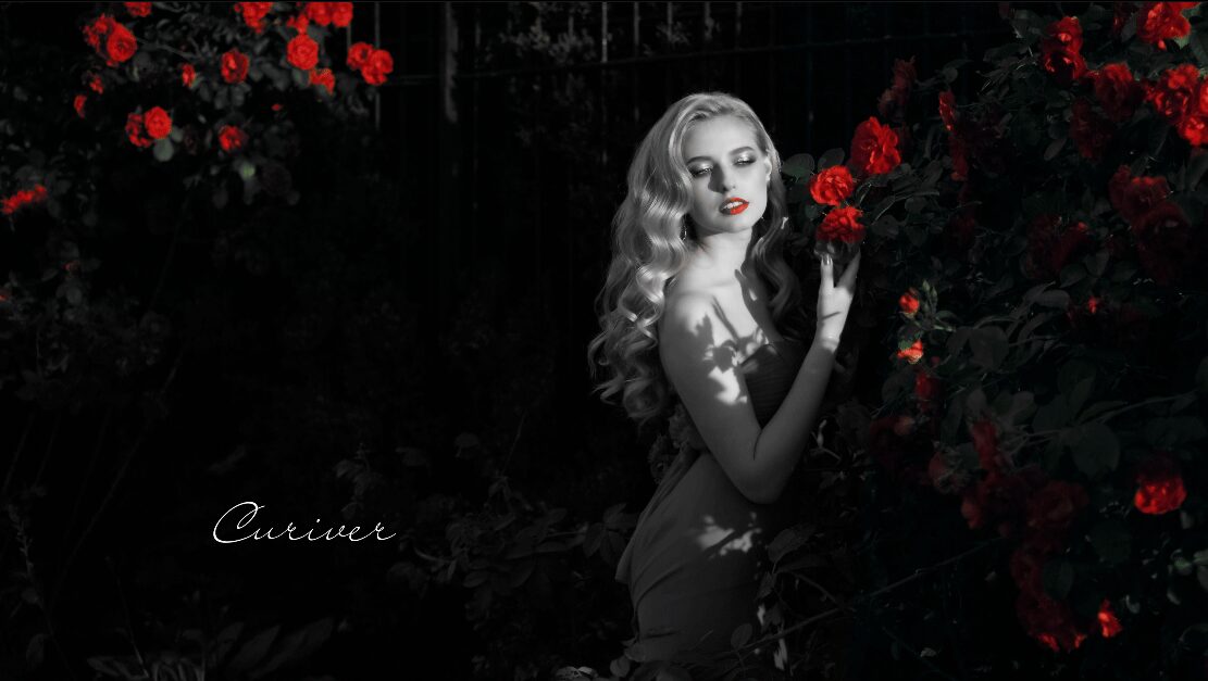 ブランディングムービー リップ