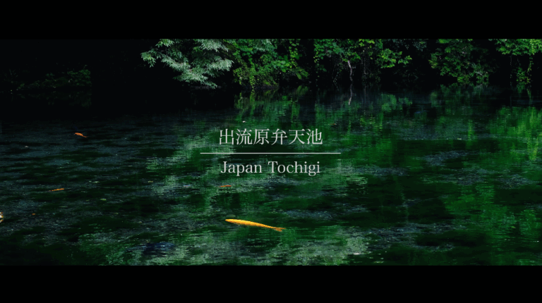 PR動画制作　佐野市